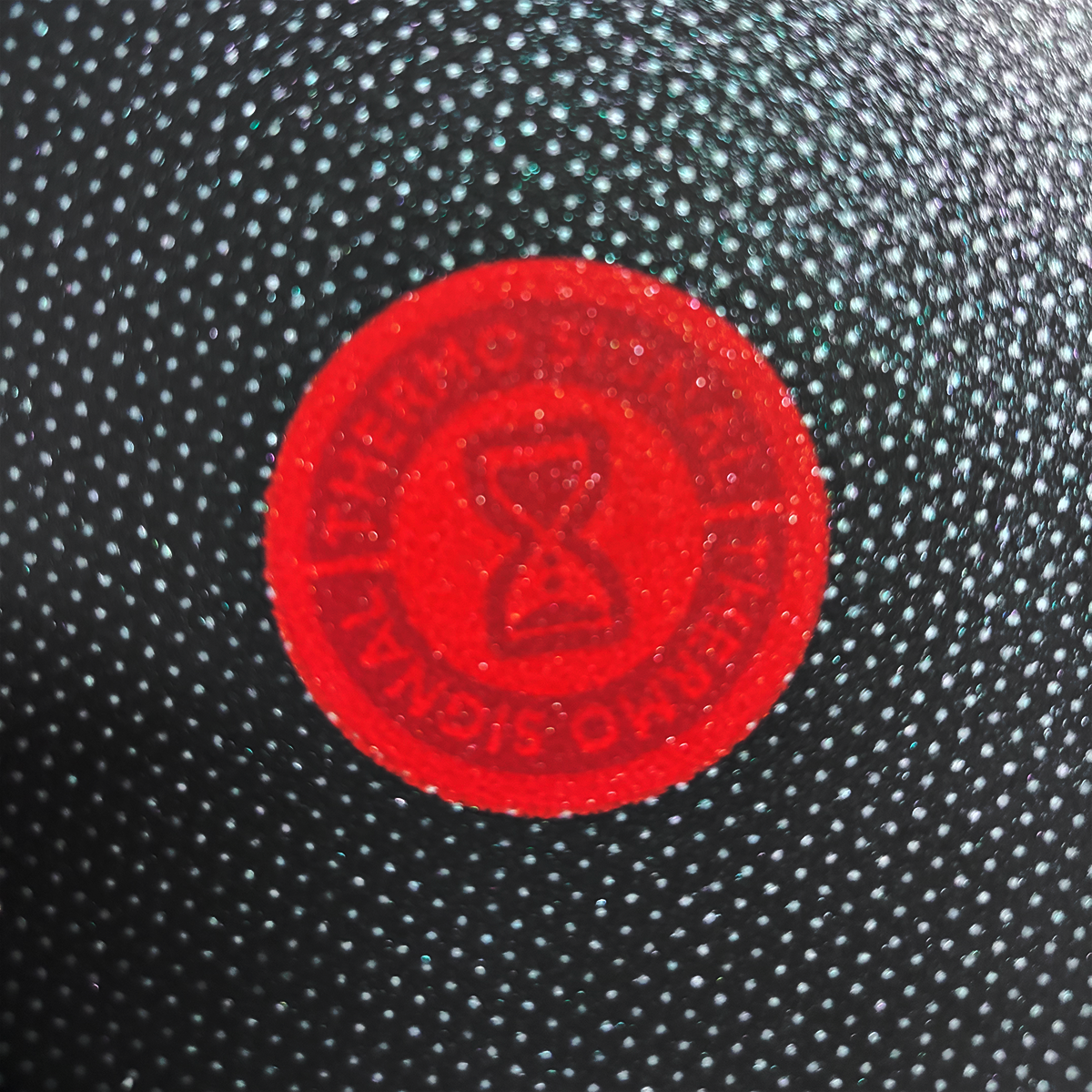 Crepera de 25 cm con Antiadherente Everyday Titanium T-Fal B4481082